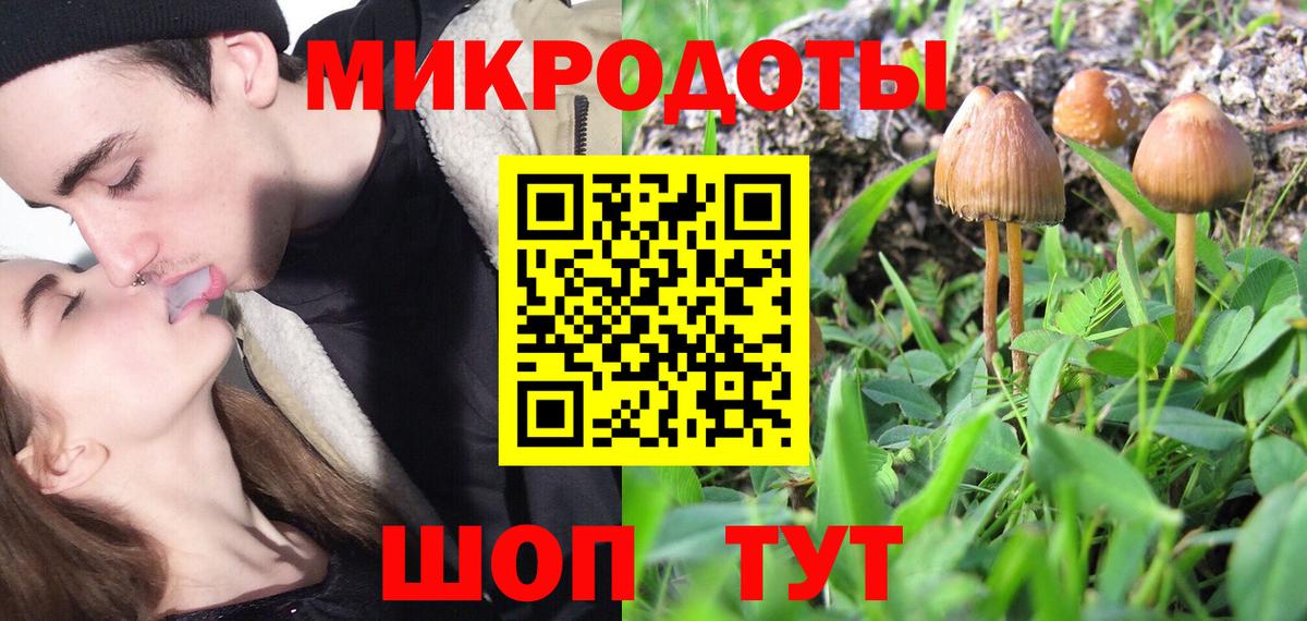 даркнет сайт  Вход с VPN  Куйбышев  Псилоцибиновые грибы MAGIC MUSHROOMS  Галлюциногенные грибы Psilocybe 